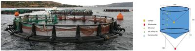 Swimming behavior as a potential metric to detect satiation levels of European seabass in marine cages